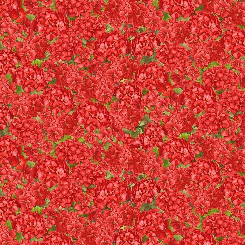 Scarlet Beauty Red  –  CD3186 Packed Geranium – Red