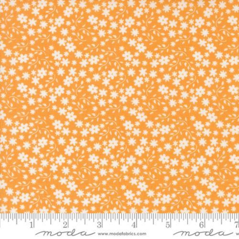 Raspberry Summer  –  537693-14 Apricot