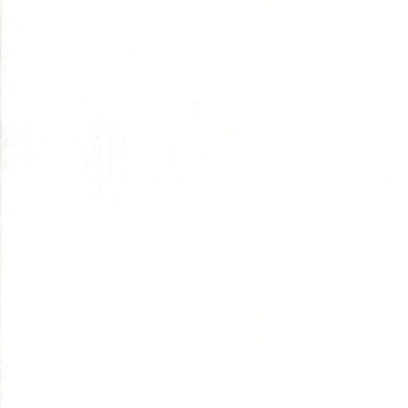 Grunge Basics / White Paper