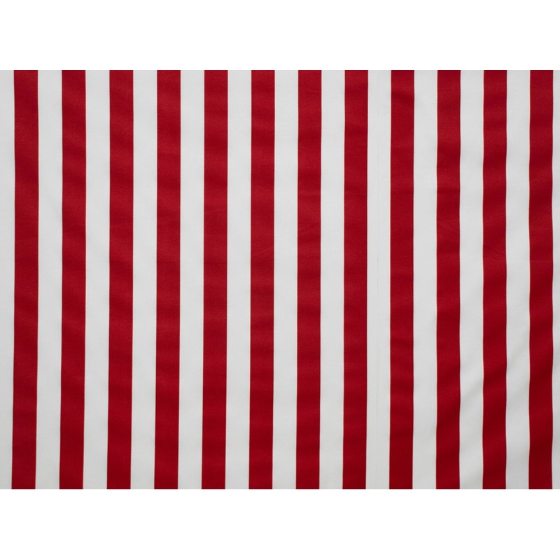 185cm Printed Upholstery Canvas UP690-2 UP690-2