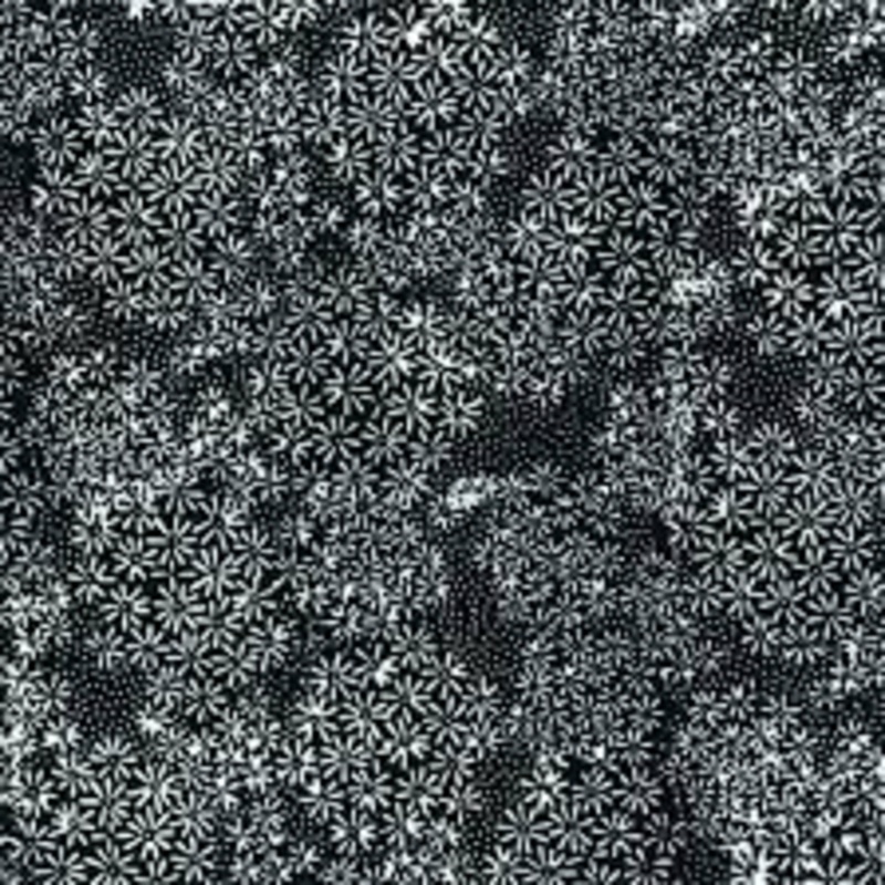 Bali Batik Handpaints Oreo – (2)