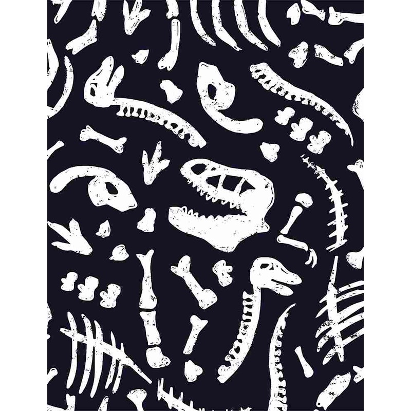 Dino Trek Black – (2)