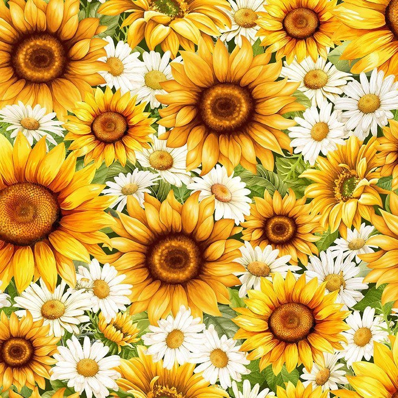 You Are My Sunshine – CD3883 –  Packed Daisies & Sunflowers
