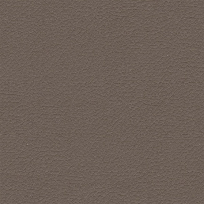 Remnant of Architex Evolution Trait Upholstery Vinyl Order Product 1