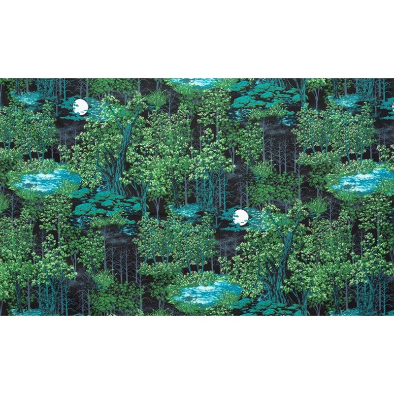 In the Moonlight Starry Night