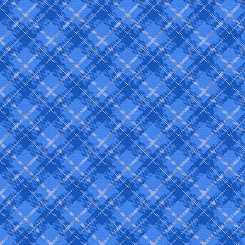 Playful Plaids Royal Blue